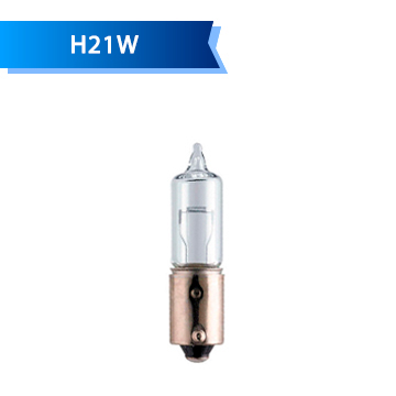 H21W H21W