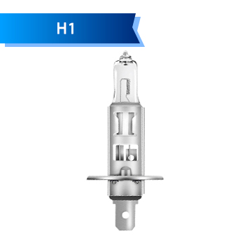 H1 H1
